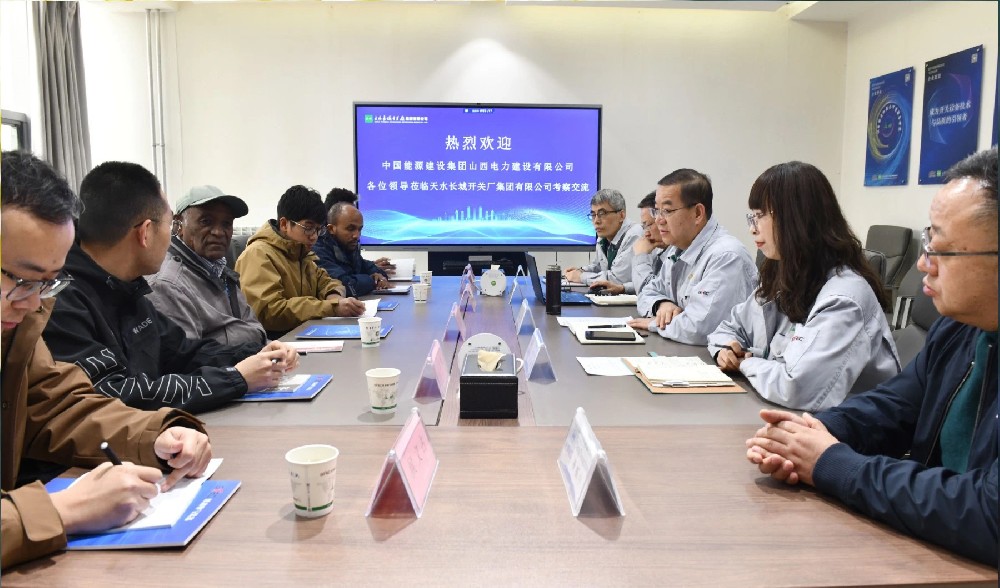 尼日特里亞國家能源部考察團(tuán)一行來公司考察交流